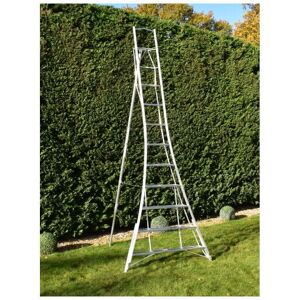 Bps Access Solutions - bps 3 Leg Trade Master Tripod Ladder, Size 3.6m