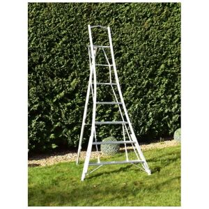 Bps Access Solutions - bps 3 Leg Trade Master Tripod Ladder, Size 2.4m