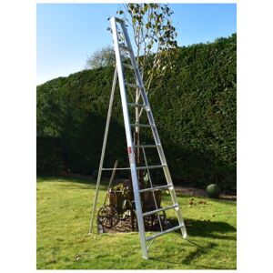 BPS ACCESS SOLUTIONS Home Master Fixed Tripod Gardening Ladder, Size 10 Step