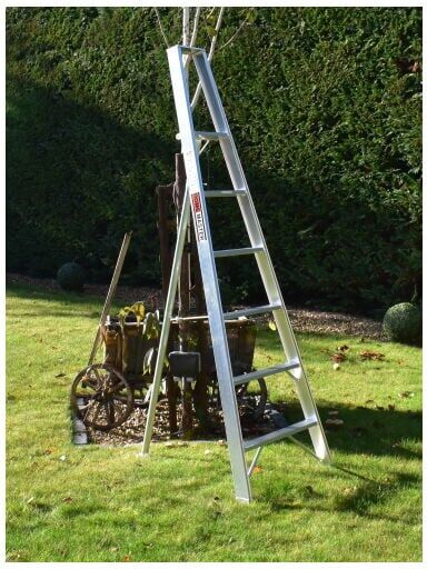 Bps Access Solutions - Home Master Fixed Tripod Gardening Ladder, Size 6 Step