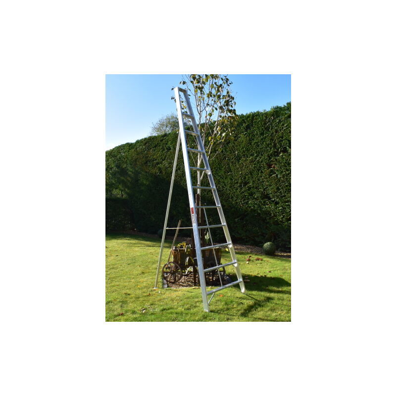 BPS ACCESS SOLUTIONS Home Master Fixed Tripod Gardening Ladder, Size 10 Step