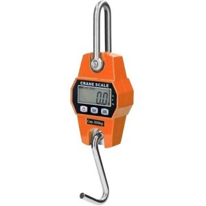AlwaysH Heavy Lifting Scale For Hook Crane, 300 Kg AlwaysH Heavy Lifting Scale For Hook Crane, 300 Kg