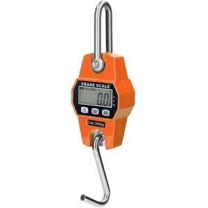 AlwaysH Heavy Lifting Scale For Hook Crane, 300 Kg AlwaysH Heavy Lifting Scale For Hook Crane, 300 Kg