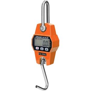 COOCHEER Heavy Lifting Scale for Hook Crane, 300 Kg COOCHEER Heavy Lifting Scale for Hook Crane, 300 Kg