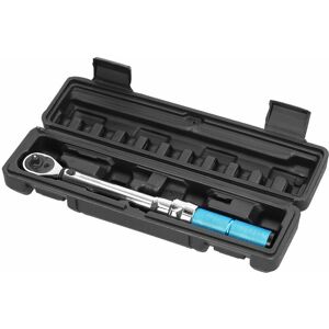 Gotrays - High Precision Chrome Vanadium Steel Torque Wrench with 1/4 Drive 5-25Nm Preset Torque Wrench for Home Car Repair with Storage Box, 5-25N Gotrays - High Precision Chrome Vanadium Steel Torque Wrench with 1/4 Drive 5-25Nm Preset Torque Wrench for Home Car Repair with Storage Box, 5-25N