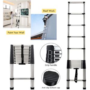 DAYPLUS Telescoping Retractable Extension 3.8M Tall Multi Purpose Loft Adjustable Ladder DAYPLUS Telescoping Retractable Extension 3.8M Tall Multi Purpose Loft Adjustable Ladder
