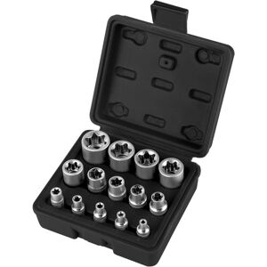 Linghhang - Torx Socket Set Female 1/4' 3/8' 1/2', Torx E-Profile Socket E4, E5, E6, E7, E8, E10, E11, E12, E14, E16, E18, E20, E22, E24 with Box No Linghhang - Torx Socket Set Female 1/4' 3/8' 1/2', Torx E-Profile Socket E4, E5, E6, E7, E8, E10, E11, E12, E14, E16, E18, E20, E22, E24 with Box No