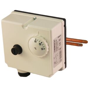 Dual Combined High Limit Thermostat & Control 542791, 542794, 542902 - Codice