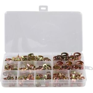 Tlily - 100PCS Car Truck Spring Clips Fuel Oil Water Hose Clip Pipe Tube Clamp Fastener Assortment Kit 6-17mm
