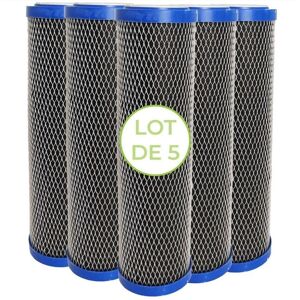 Csparkv - Pack of 5 2 in 1 Water Filter Cartridges 10 inches - Anti-sediment + 5 micron activated carbon Impurity Filter