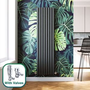 Elegant - 1800 x 480 mm Anthracite Modern Tall Bar Rads Double Oval Panel Designer Bathroom Radiator + Chrome Thermostatic Radiator Valves