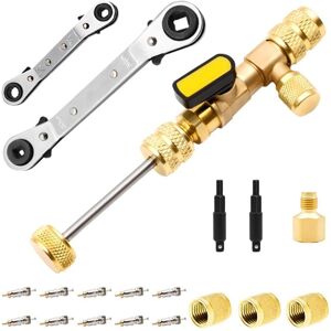 Tlily - Valve Core Remover Tool with Dual Size sae 1/4 & 5/16 Port, 10PCS Cores Seal and 3PCS Brass Nuts
