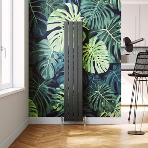 Elegant - Central Heating Radiator 1600x304mm Vertical Anthracite Flat Panel + Chrome Thermostatic Radiator Valves Elegant - Central Heating Radiator 1600x304mm Vertical Anthracite Flat Panel + Chrome Thermostatic Radiator Valves