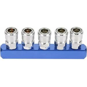 ETING 12mm Pneumatic Quick Coupler Connector Female Thread 2/3/4/5 Way Mount for Pneumatic and Air Hose Connections (5 Way) ETING 12mm Pneumatic Quick Coupler Connector Female Thread 2/3/4/5 Way Mount for Pneumatic and Air Hose Connections (5 Way)