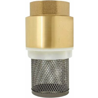 Linghhang - 1/2, 3/4, 1, 2 inch check valve - pump check valve (1 inch) Linghhang - 1/2, 3/4, 1, 2 inch check valve - pump check valve (1 inch)