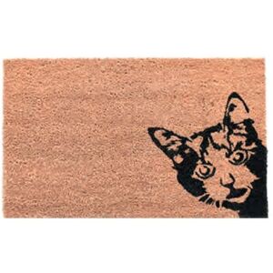 Fallen Fruits - Cat - Coir Doormat - (RB228)