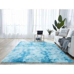 Denuotop - Living Room Rug , Modern Soft and Fluffy Super Soft Velvet Indoor Rugs Fluffy Soft Longhair Decorative Chair Cushion Sofa Mat (Blue 80 x