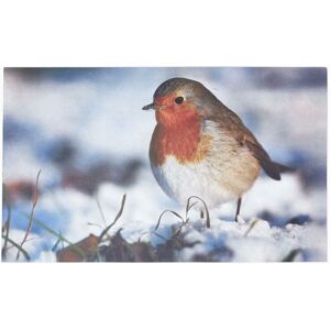 Homescapes - Recycled Rubber Printed Winter Robin Doormat - Multicolour