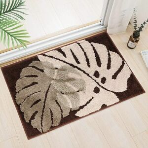 Hoopzi - Indoor Doormat, Highly Absorbent, Non-Slip Front and Back Door for Indoor Use, Flat Profile, Machine Washable, Door Mat,5080cm