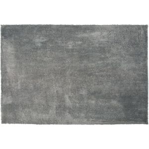 Beliani - Modern Area Fluffy Rug Shaggy High-Pile 200 x 300 cm Grey Evren - Grey