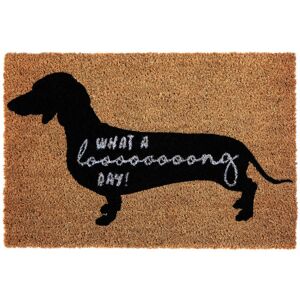 Premier Housewares - What a Long Day Sausage Dog Doormat