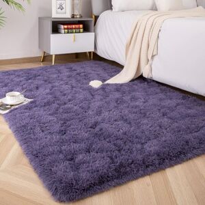 Xuigort - Soft Fluffy Area Rugs for Bedroom Kids Room Plush Shaggy Nursery Rug Furry Throw Carpets for Boys Girls, College Dorm Fuzzy Rugs Living