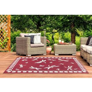 LORD OF RUGS Terrace Dragonfly Flatweave Outdoor Indoor Bordered Bordeaux Rug in 60 x 120 cm (2x4')