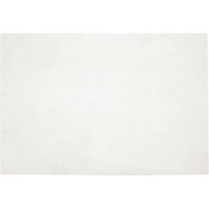 Faux Rabbit Fur Rug Olite Cream 120 x 170 cm Polyester vidaXL Faux Rabbit Fur Rug Olite Cream 120 x 170 cm Polyester vidaXL