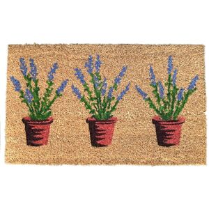 SELECTIONS Lavandula Lavender Pots Indoor & Outdoor Coir Doormat SELECTIONS Lavandula Lavender Pots Indoor & Outdoor Coir Doormat