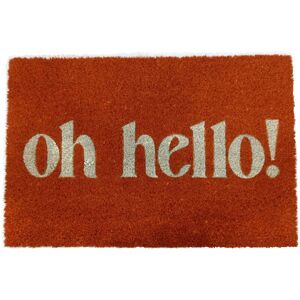 Relaxdays Coconut Doormat, Welcome, 60x40 cm, non-slip, weatherproof, indoor & outdoor mat, door mat, colours Relaxdays Coconut Doormat, Welcome, 60x40 cm, non-slip, weatherproof, indoor & outdoor mat, door mat, colours