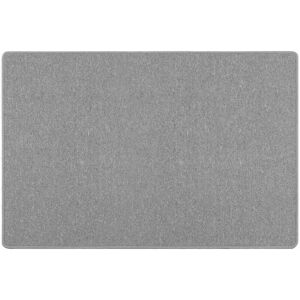 Carpet Runner Light Grey 100 x 150 cm 100% Polypropylene vidaXL Carpet Runner Light Grey 100 x 150 cm 100% Polypropylene vidaXL