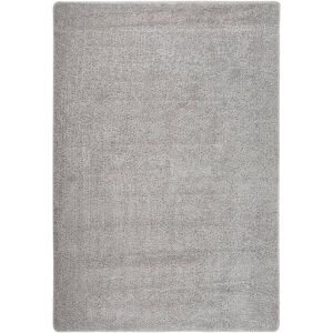 Shaggy Rug Light Grey 120x170 cm Anti Slip vidaXL Shaggy Rug Light Grey 120x170 cm Anti Slip vidaXL