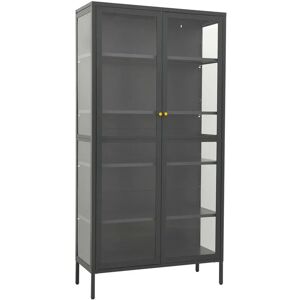 BERKFIELD HOME Mayfair Display Cabinet Anthracite 90x40x180 cm Steel and Tempered Glass