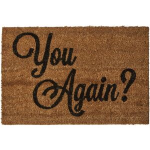 Premier Housewares - You Again Doormat