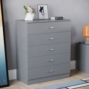 HOME DISCOUNT Riano 5 Drawer Chest of Drawers Bedroom Storage Furniture, Grey