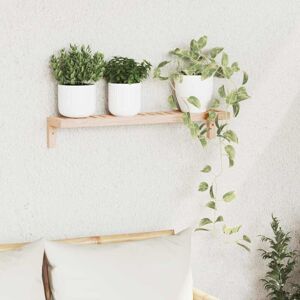 Wall Hanging Rack Beige 62 x 10 x 12.5 cm Solid Walnut wood Vidaxl Wall Hanging Rack Beige 62 x 10 x 12.5 cm Solid Walnut wood Vidaxl