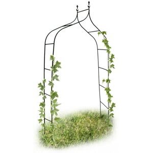 Relaxdays - Rose Arch, Garden Growth Support, Metal Trellis, Weatherproof, hwd 240 x 140 x 38 cm, Dark Green Relaxdays - Rose Arch, Garden Growth Support, Metal Trellis, Weatherproof, hwd 240 x 140 x 38 cm, Dark Green