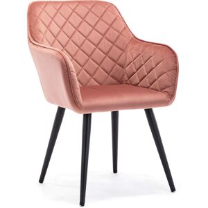 HNN Home Dalton Upholstered Kitchen Dining Chair with Arms and Back, Strong Metal Leg, Lounge Living Room Armchair Reception Tub Chair (Pink, Velvet)