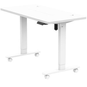 DEVOKO Electric Height Adjustable Standing Desk with usb and Type-C Charging Ports, with Charging Function, 3 Auto Memory Keypads on Panel, with 4 Universal