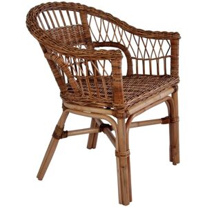 Encanto Garden Chair by Bay Isle Home Brown