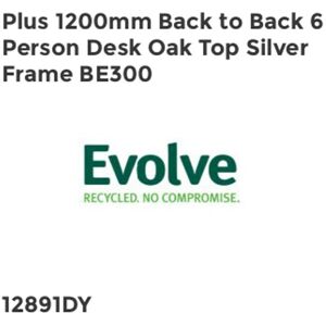 Plus 1200mm Back to Back 6 Peson Desk Oak Top Silve Fame BE300 - Evolve