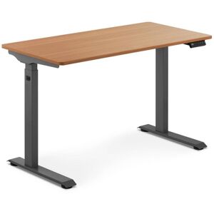 FROMM & STARCK Sit-Stand Desk Adjustable Height Desk 73-123 cm Standing Desk Brown/Grey