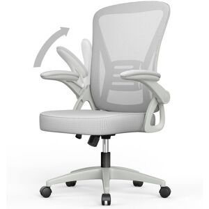 Naspaluro - Office Chair Ergonomic - Bigzzia Desk Chair with 90° Flip-up Armrest Lumbar Support - Executive Swivel Computer Chair - Gray