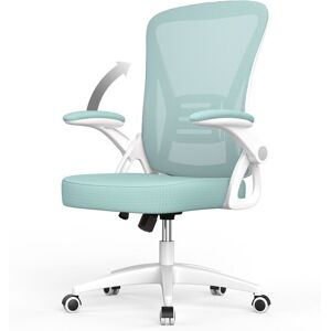 Naspaluro - Office Chair Ergonomic - Bigzzia Desk Chair with 90° Flip-up Armrest Lumbar Support - Executive Swivel Computer Chair - Green