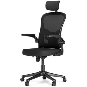 Naspaluro - Office Chair with Back Support, Bigzzia High Back Ergonomic Computer Chair with 90° Flip-Up Armrest, Adjustable Headrest, Swivel Mesh