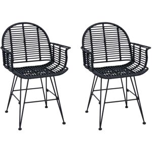 Dining Chair 2 pcs Black 44 x 44 x 74 cm Rattan and Iron vidaXL Dining Chair 2 pcs Black 44 x 44 x 74 cm Rattan and Iron vidaXL
