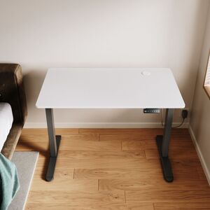 ELEGANT Standing Desk 120 x 60cm, Ergonomic 70-115cm Height Adjustable Office Desk with Memory Function, White ELEGANT Standing Desk 120 x 60cm, Ergonomic 70-115cm Height Adjustable Office Desk with Memory Function, White