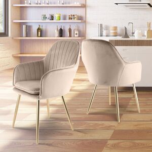 Raygar - Genesis muse Chair in Velvet Fabric x 2 - Taupe Raygar - Genesis muse Chair in Velvet Fabric x 2 - Taupe