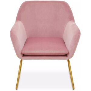 Premier Housewares - Interiors by Premier Pink Velvet Powder Gold Legs Armchair, Easy Care Velvet Chairs, Indoor Dining with Velvet Dinner Chair Premier Housewares - Interiors by Premier Pink Velvet Powder Gold Legs Armchair, Easy Care Velvet Chairs, Indoor Dining with Velvet Dinner Chair