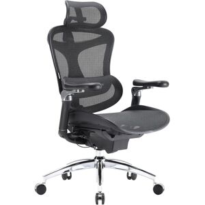 SIHOO Doro C300 Pro Ergonomic Office Chair with Ultra-Soft 6D Armrests, Dynamic Lumbar Support, Seat Depth Adjustment and Adjustable Backrest Desk SIHOO Doro C300 Pro Ergonomic Office Chair with Ultra-Soft 6D Armrests, Dynamic Lumbar Support, Seat Depth Adjustment and Adjustable Backrest Desk
